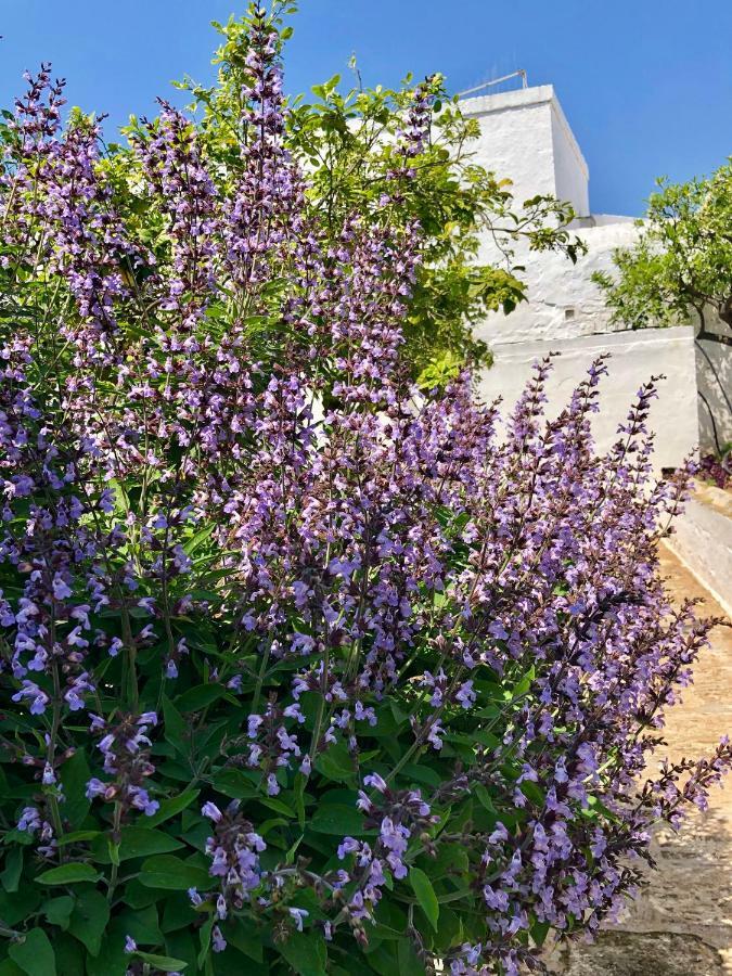 Masseria Rienzo Ostuni Exterior foto